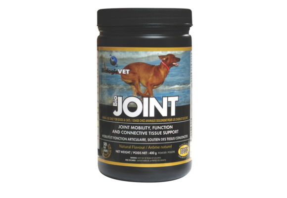 BioJoint Joint Mobility, Function & Connective Tissue 400 g