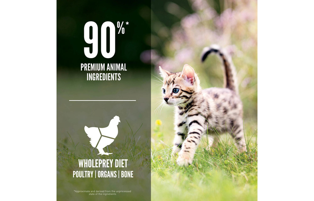 Orijen Kitten 1.8kg