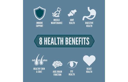 Orijen Guardian 8 Cat 4.5 kg