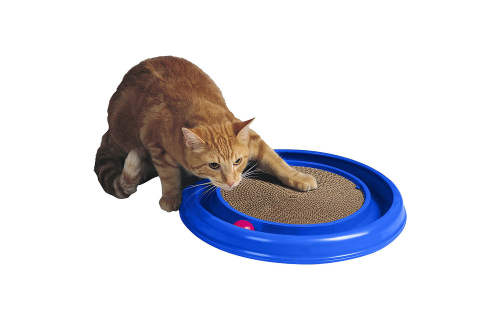 Bergan Turbo Scratcher