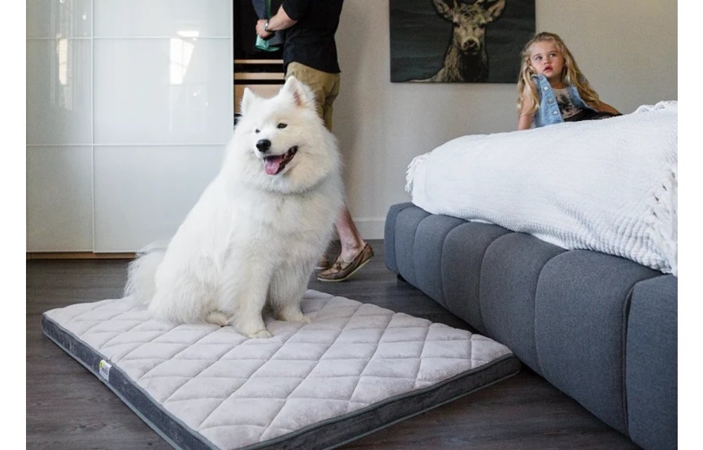 Be One Breed Diamond Bed Gray Medium 35x23"