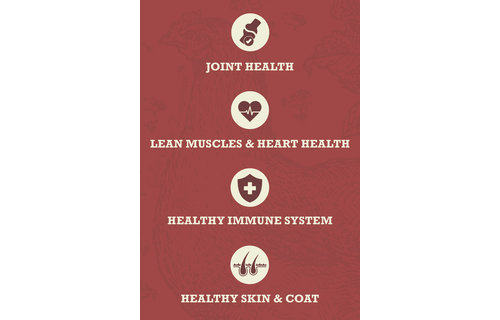 Acana Healthy Grains Large Breed Adult 10.2kg