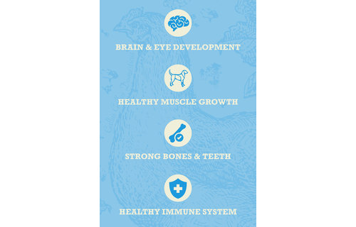 Acana Healthy Grains Puppy 10.2kg