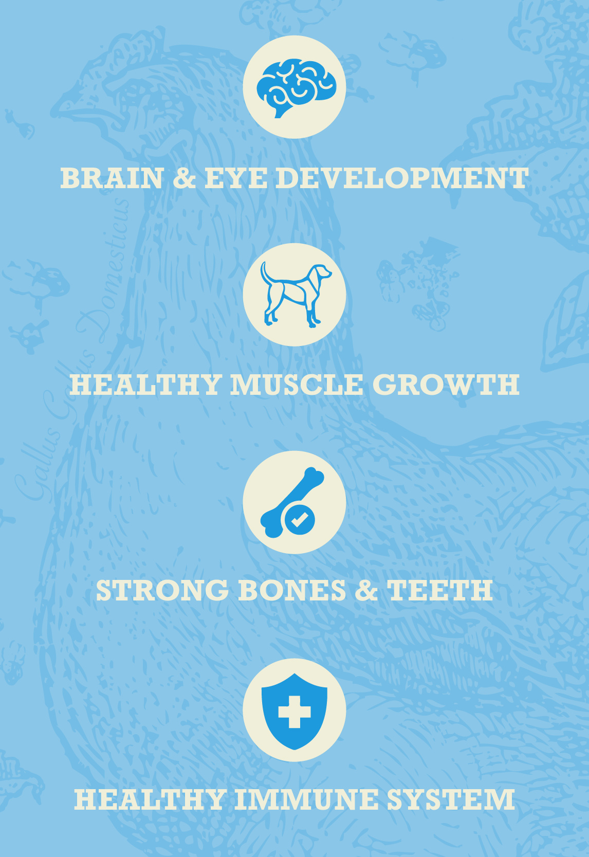 Acana Healthy Grains Puppy 10.2kg