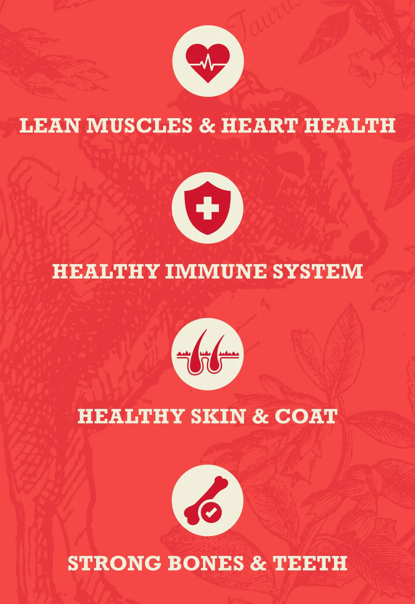 Acana Healthy Grains Red Meat 1.8kg