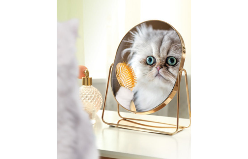 Fromm Cat Gold Indoor 1.8 kg