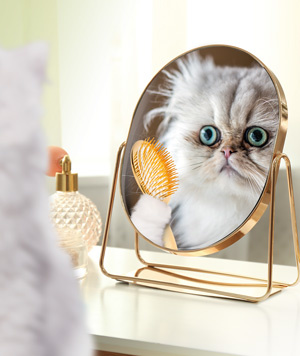 Fromm Cat Gold Indoor 1.8kg