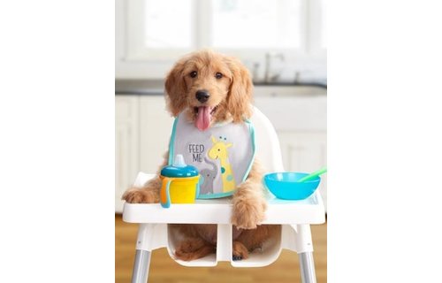 Fromm Dog Gold Large Breed Puppy 13.6kg