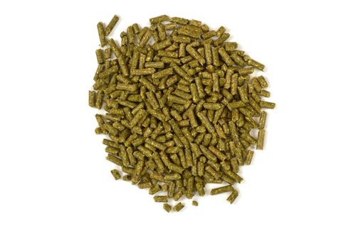 Oxbow Garden Select Adult Guinea Pig 1.81Kg