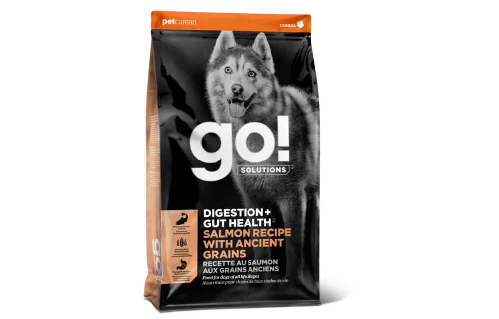 Go! Gut Health Salmon & Ancient Grains Dog 22Lb