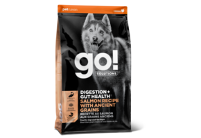 GO! Dog Gut Health Salmon & Ancient Grains 22Lb