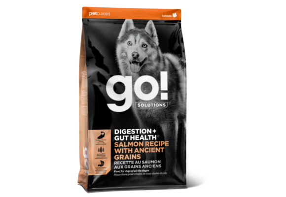 GO! Dog Gut Health Salmon & Ancient Grains 22Lb