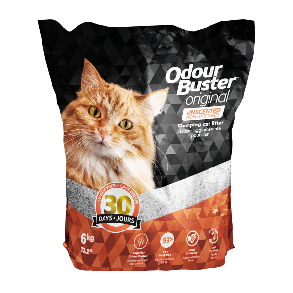 Odour Buster Original Unscented Litter 6kg