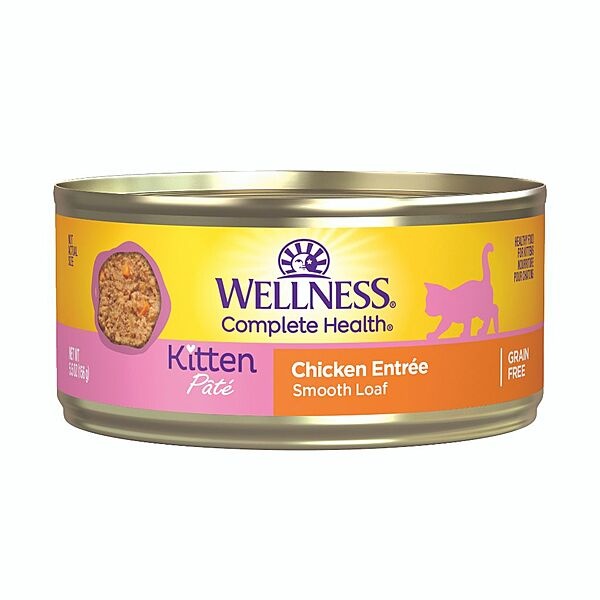 Wellness Kitten Pate 5.5oz