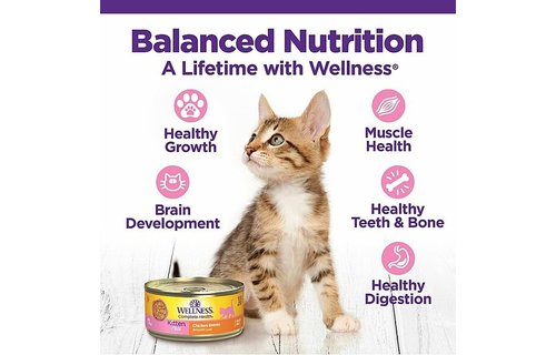 Wellness Kitten Pate 5.5oz