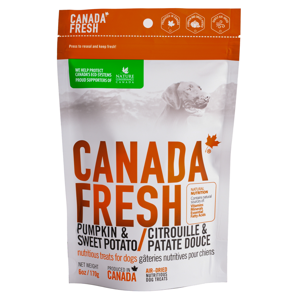 Fresh pumpkin dog treats online