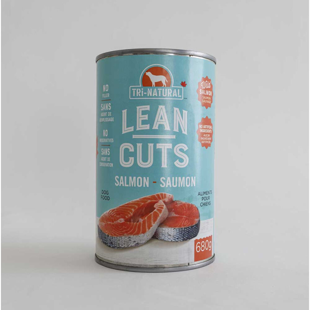 Lean Cuts Salmon Dog 400 g