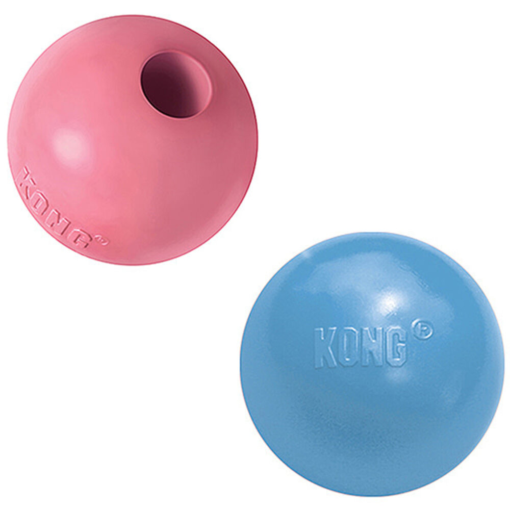 Kong ball hot sale for puppies