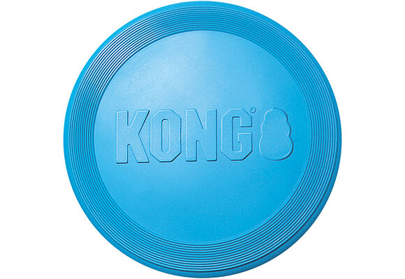 Kong Flyer Puppy
