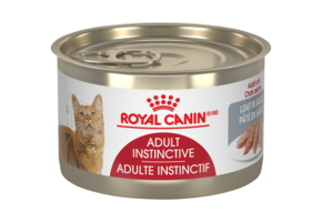 Royal Canin FHN Adult Loaf 145g