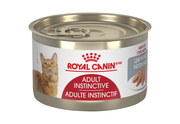 Royal Canin FHN Adult Loaf 145g
