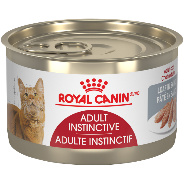 Royal Canin FHN Adult Loaf 145g