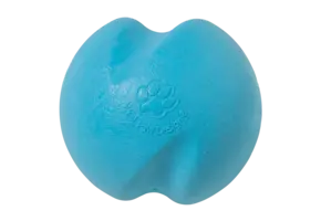 West Paw Jive XS 2" Aqua