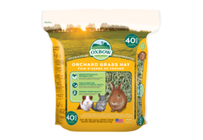 Oxbow Hay Orchard Grass 40 oz