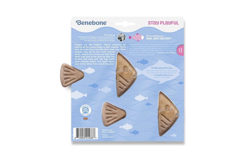 Benebone safe 2025
