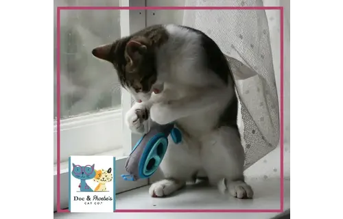 Doc & Phoebe - The Hunting Snacker