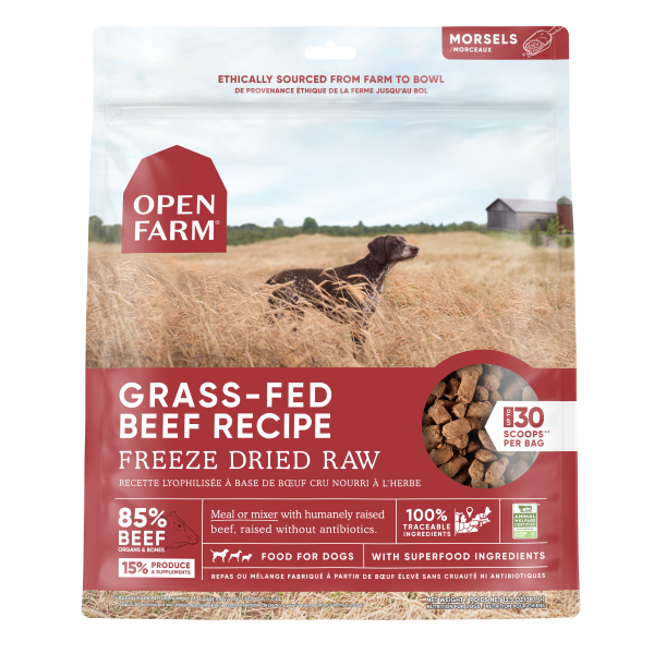 Open Farm Dog Freeze Dried Raw Beef 13.5oz