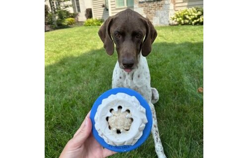 Tall Tails Natural Rubber Polar Toy