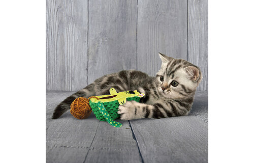 Kong Wrangler AvoCATo