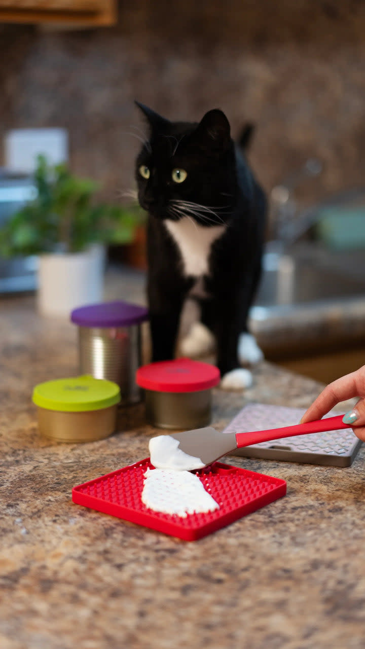 Messy Mutts Silicone Reversible Interactive Cat Licking Mat Red