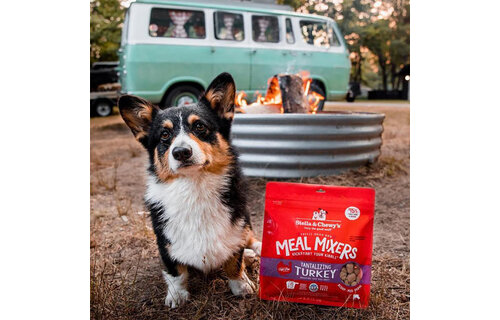 Stella & Chewy’s Dog FD Meal Mixers Turkey 3.5oz