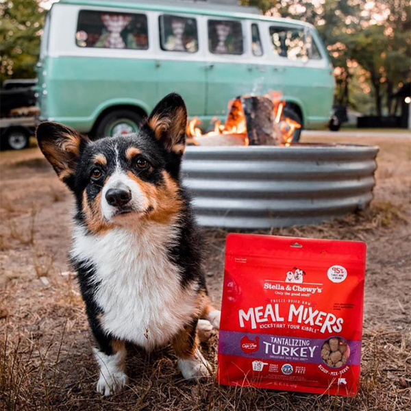 Stella & Chewy’s Dog FD Meal Mixers Turkey 3.5oz