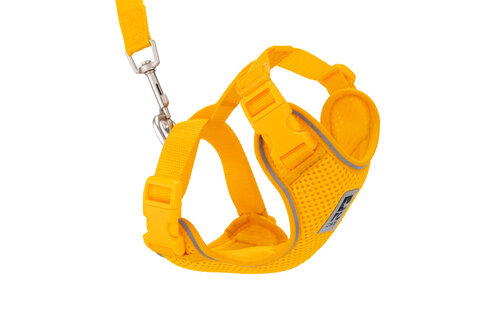 RC Adventure Kitty Harness