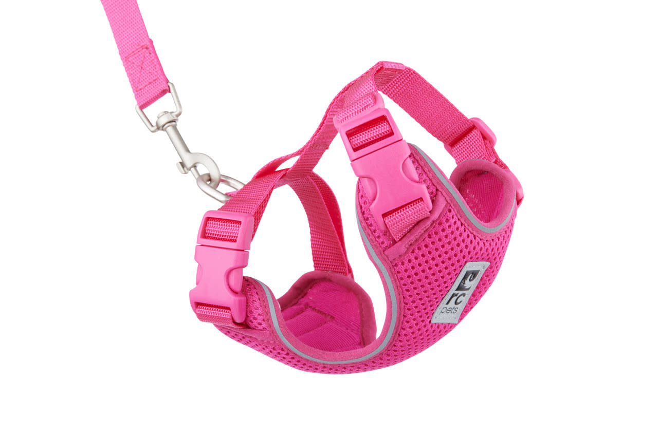 RC Adventure Kitty Harness