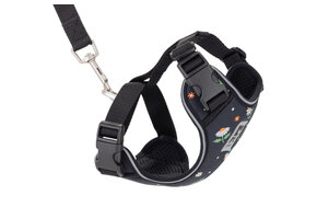 RC Pets Adventure Kitty Harness Pattern