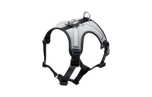 RC Pets Nova LED Light Harness