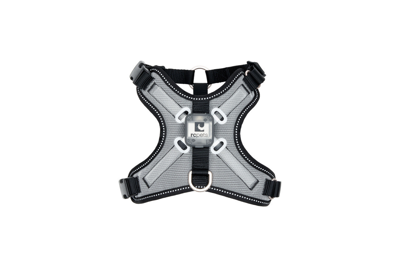 RC Pets Nova LED Light Harness