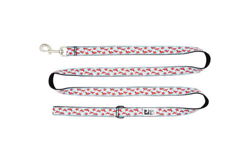 RC Pets Leash