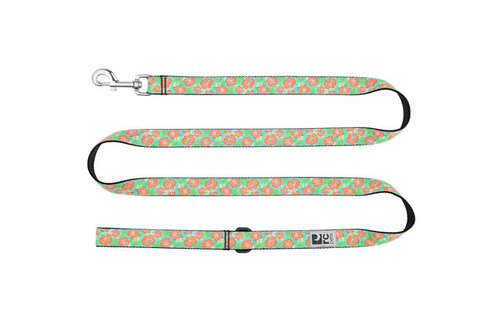 RC Pets Leash