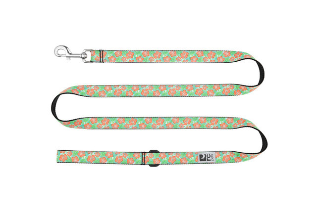 RC Pets Leash