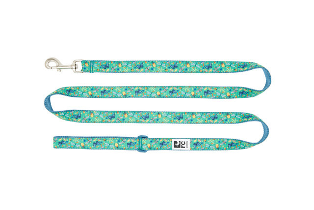 RC Pets Leash