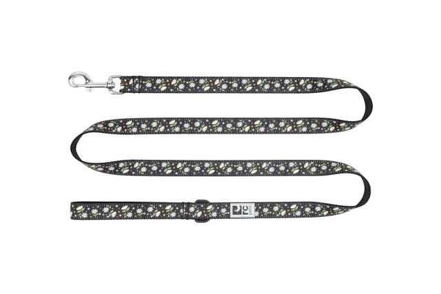 RC Pets Leash