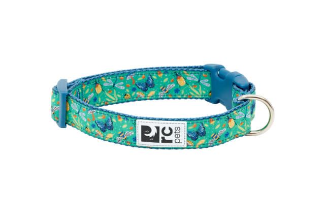 RC Pets Clip Collar