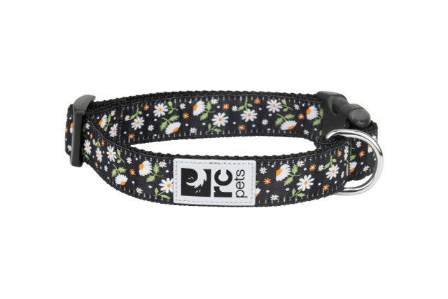 RC Pets Clip Collar