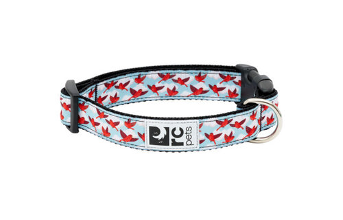 RC Pets Clip Collar