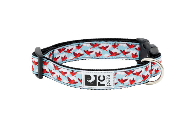 RC Pets Clip Collar